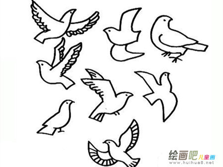 和平鸽简笔画：愿做和平鸽