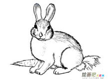 兔子简笔画：迷路的兔子