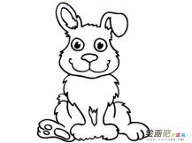 兔子简笔画：孵蛋的兔子