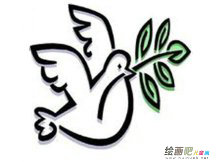 和平鸽简笔画：衔着橄榄枝的和平鸽