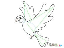 和平鸽简笔画：一只和平鸽的自述