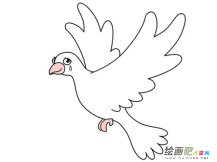 和平鸽简笔画：放飞和平鸽唱响和平歌