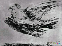 和平鸽简笔画：放飞我心中的和平鸽