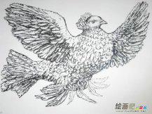 和平鸽简笔画：和平的吉祥物