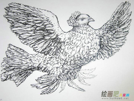 和平鸽简笔画：和平的吉祥物