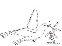 和平鸽简笔画：毕加索与和平鸽的故事