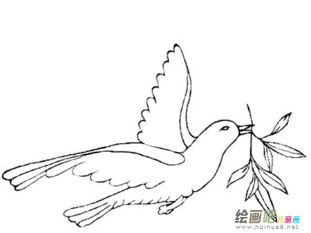 和平鸽简笔画：毕加索与和平鸽的故事