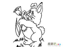 兔子简笔画：兔子先生的菜园子