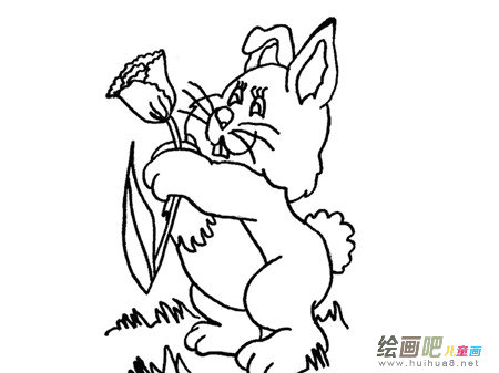 兔子简笔画：兔子先生的菜园子