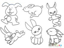 兔子简笔画：小兔子的大眼袋