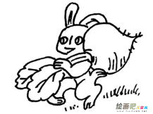 兔子简笔画：小兔子分萝卜