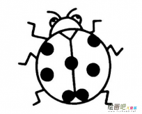 七星瓢虫简笔画：七星瓢虫简笔画
