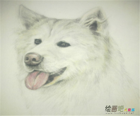 彩色铅笔画：彩色铅笔画如何画更简单