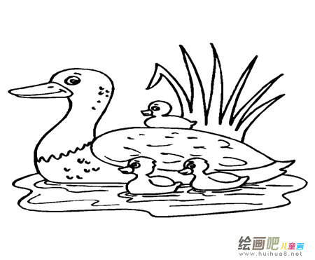小鸭子简笔画：调皮可爱的小鸭子