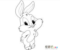 兔子简笔画：聪明的小白兔