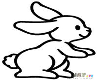 兔子简笔画：机智的小白兔