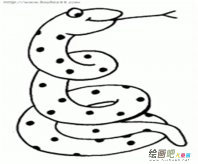 蛇的简笔画：为什么冬蛇会自杀