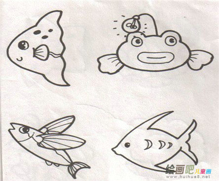 海洋生物简笔画：“养”海洋生物球