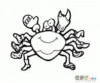 海洋生物简笔画：参观海洋贝壳生物展