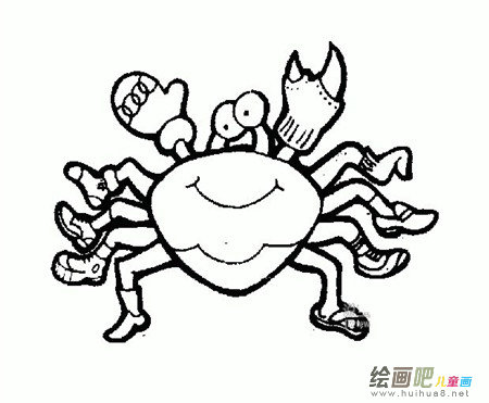 海洋生物简笔画：参观海洋贝壳生物展
