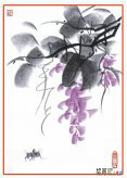 彩色铅笔画：彩铅的种类