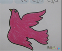和平鸽简笔画：假如我是一只和平鸽