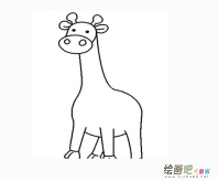 长颈鹿简笔画：长颈鹿简笔画