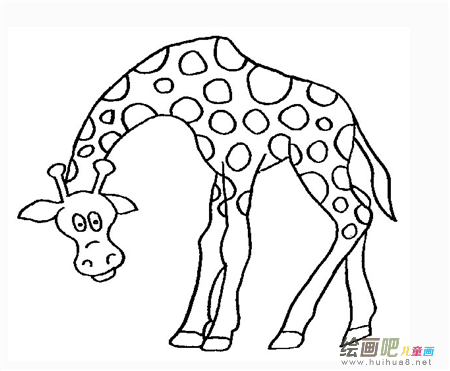 长颈鹿简笔画：有趣的长颈鹿