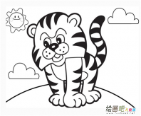 老虎简笔画：假如我是老虎