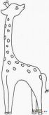 长颈鹿简笔画：长颈鹿考试