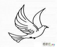 和平鸽简笔画：世界和平World Peace