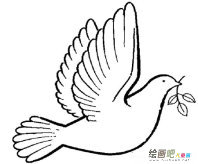 和平鸽简笔画：两只飞翔的和平鸽