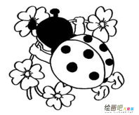 七星瓢虫简笔画：七星瓢虫简笔画