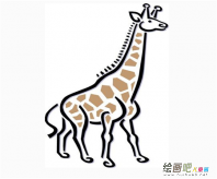长颈鹿简笔画：有趣的长颈鹿