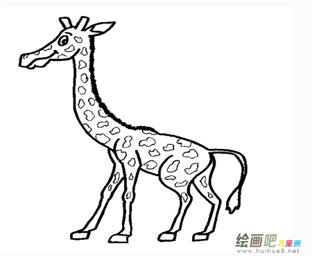 长颈鹿简笔画：长颈鹿和刺猬
