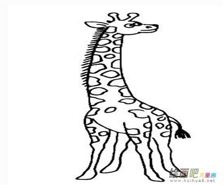 长颈鹿简笔画：长颈鹿桥