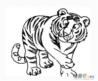 老虎简笔画：山中无老虎
