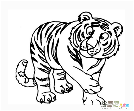老虎简笔画：山中无老虎