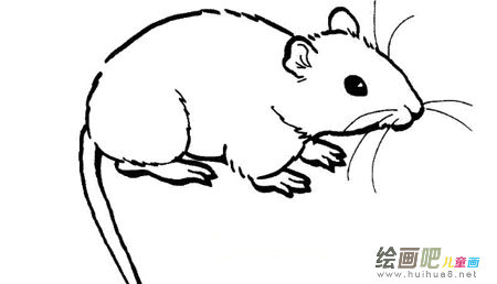 小老鼠简笔画