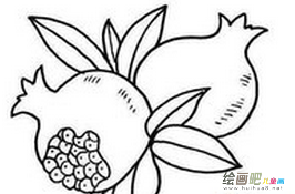 水果简笔画：秋天的水果