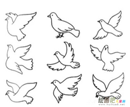 和平鸽简笔画：世界人民有一个共同的心愿