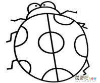 七星瓢虫简笔画：七星小战士