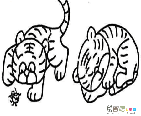 老虎简笔画：没牙的老虎
