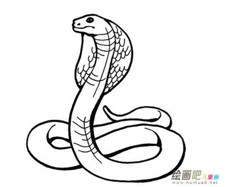 蛇的简笔画：蛇娃娃