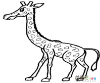 长颈鹿简笔画：小兔和长颈鹿