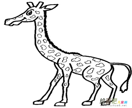 长颈鹿简笔画：小兔和长颈鹿