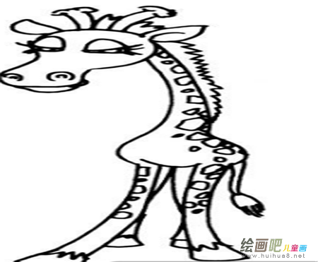 长颈鹿简笔画：长颈鹿的狂想曲