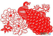 剪纸图案大全：孔雀