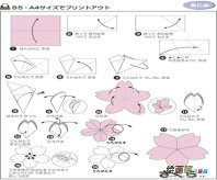 折纸大全：简单折纸花制作