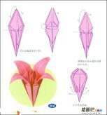 折纸大全：小花折纸
